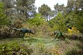 Parc de prehistoire morbihan france frankrijk french bretagne brittany dolmen menhir menhirs dino dinosaurus dinosaur dinosaure dinosauriers malansac themapark Prenocephale